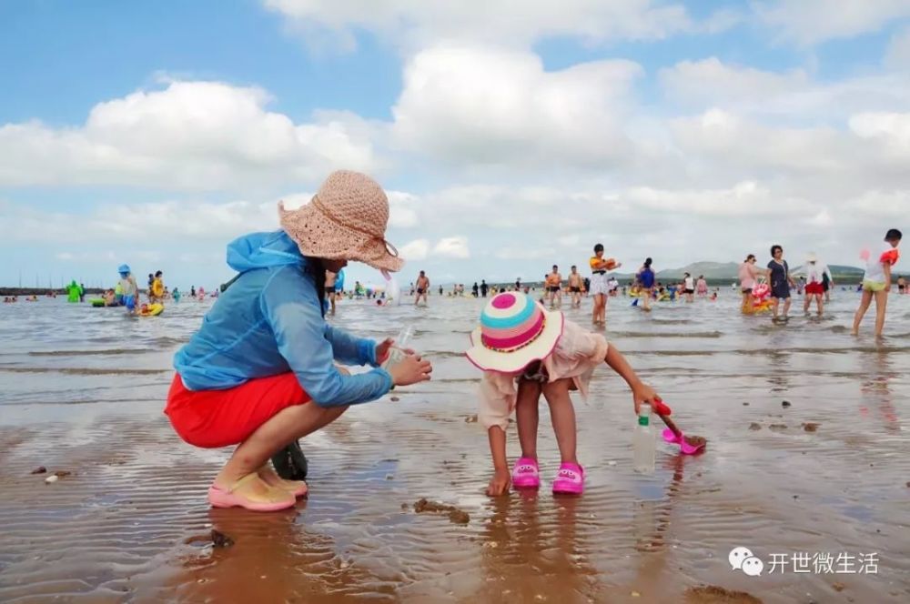 来旅顺赶海,给你一个鲜鲜爽爽的夏天