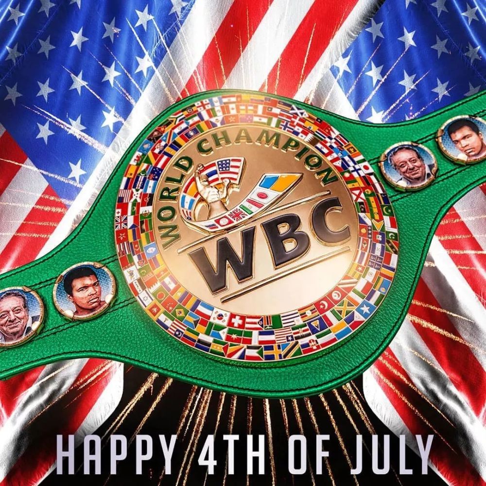 wbc是什么意思 腾讯网