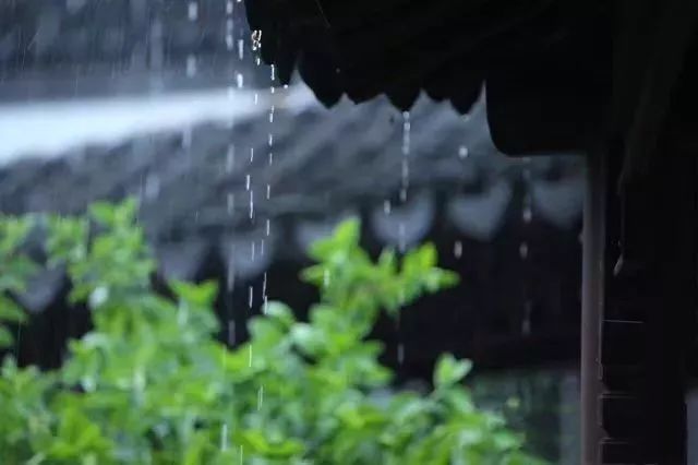 《夜雨双唱》隔窗知夜雨,芭蕉先有声