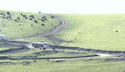 了多条深入草原的