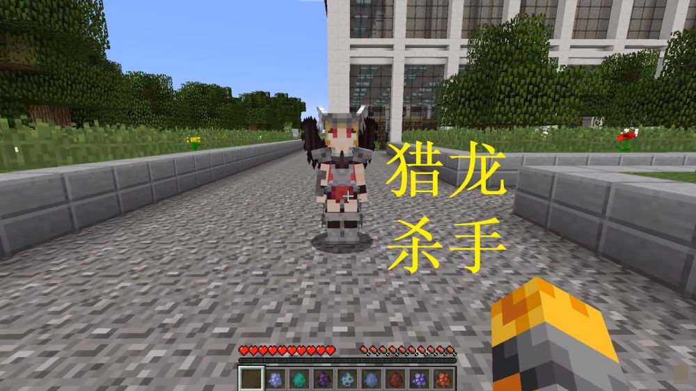 我的世界mc现女性化角色,烈龙杀手不是敌人,巫婆长得这么好看