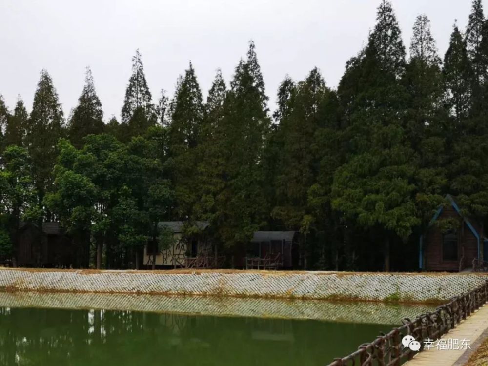 桥头集镇地处肥东县东南部,素有"魅力山镇"之美誉.