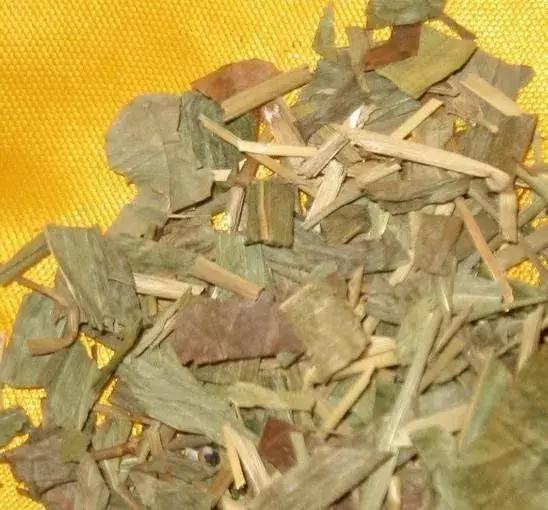 中医:淡竹叶是小儿七星茶配方之一,清热泻火"有一手"