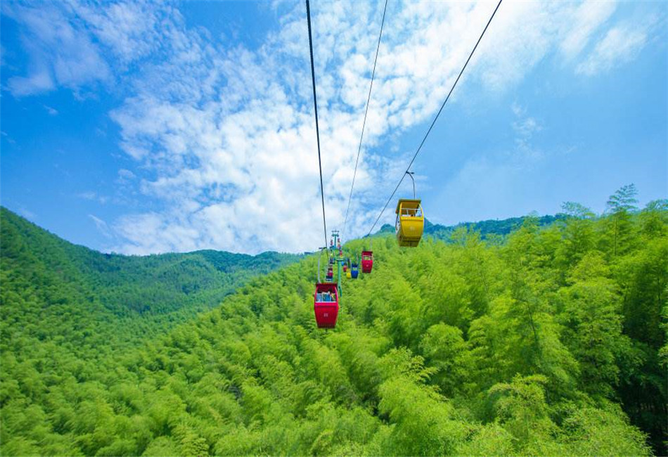 旅游,风景,风光,南山竹海,景区