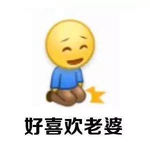 爱老婆表情包:老婆就是天,老婆就是我的一切