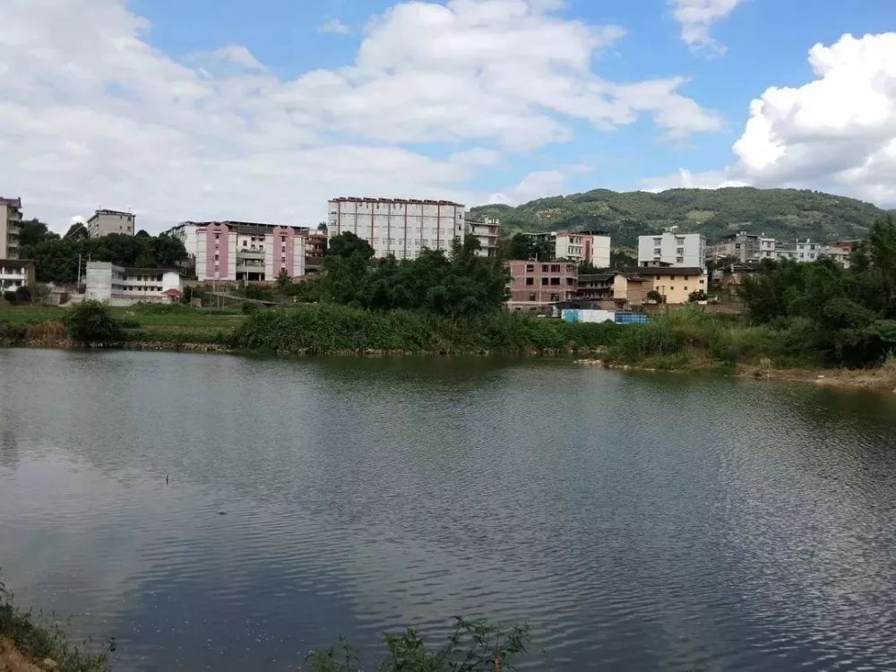 新环境,龙岩,永定区