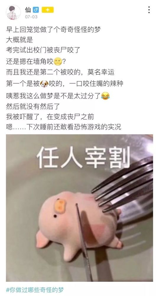 画面太美,不敢想象