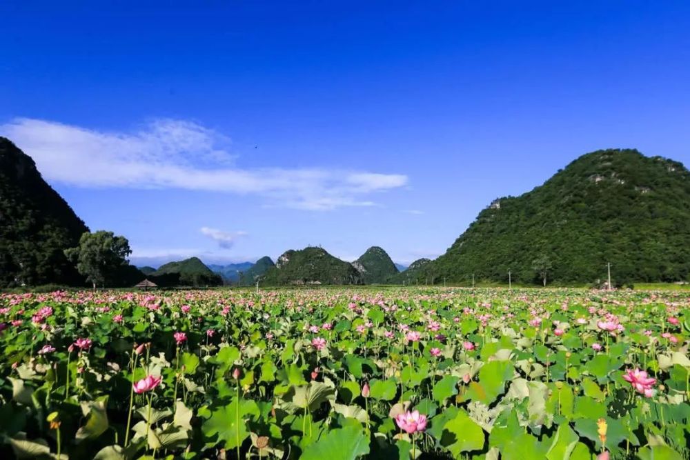 普者黑,云南,文山壮族苗族自治州,丘北县