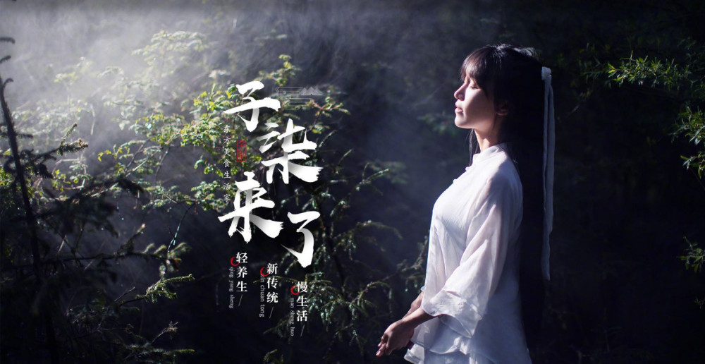 娶妻当娶李子柒,中国传统传承者,火遍国内外.视频播放