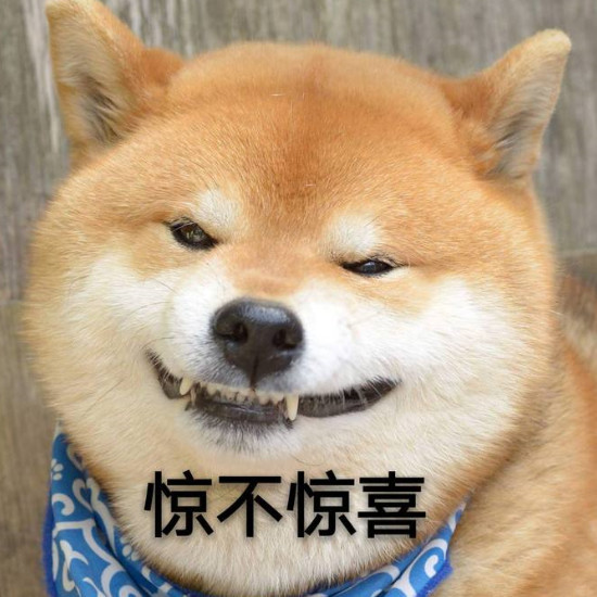 欢乐来袭:美好的一天,一则幽默段子,让你哈哈大笑