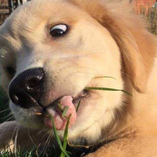 欢乐来袭:美好的一天,一则幽默段子,让你哈哈大笑