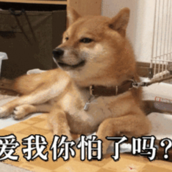 幽默笑料 认真搞笑 忍住不笑太难了 看点快报