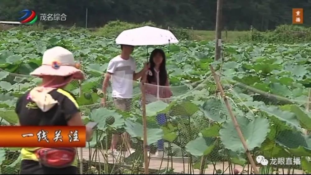 美女随手在高州拍了一张照片,结果火了!地点曝光