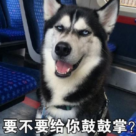 今日搞笑:学会这些段子,可能会笑出猪叫