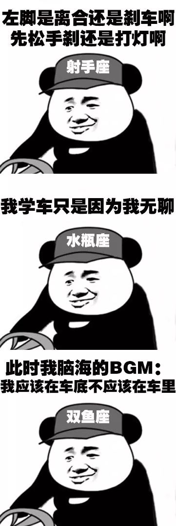 搞笑12星座学驾照表情包,摩羯座早就拿到驾照了