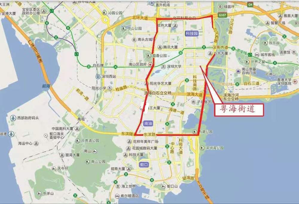 上市公司,粤海街道,深圳,市值