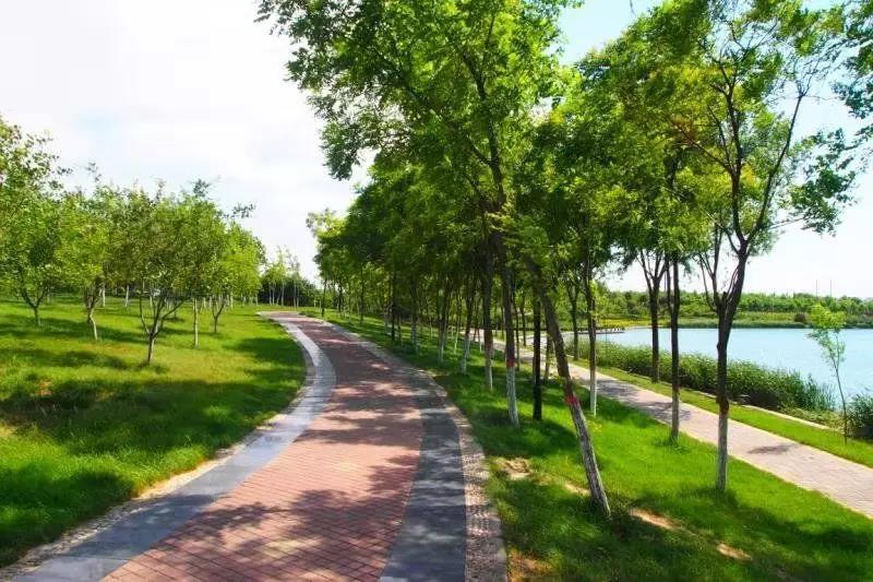 打造环城水系!石家庄要新建27公里景观绿道,改造6座公园
