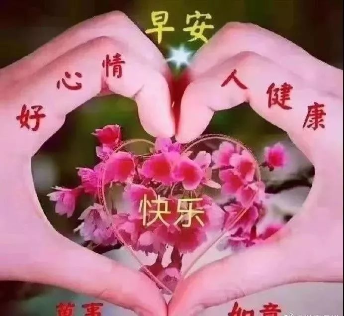 星期三最新早晨好问候语表情图片 最新漂亮早上好问候