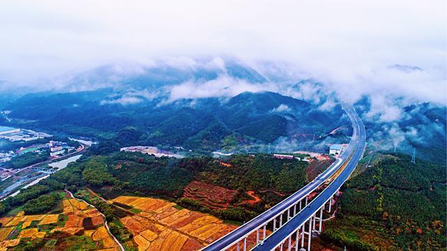 顿岗镇人口_人口普查(3)