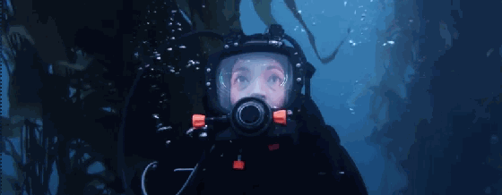 微软在2016年干了这些事儿 外媒：已经彻底转型