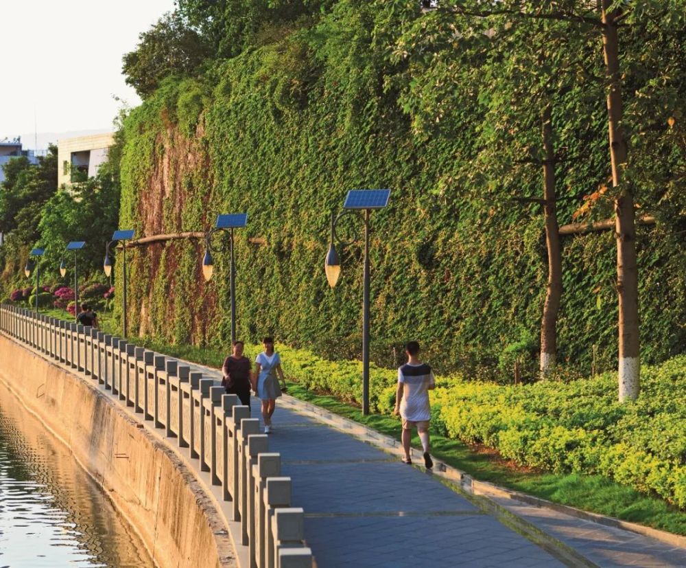 休闲散步可以约!仁和滨河公园休闲步道正在拓宽中