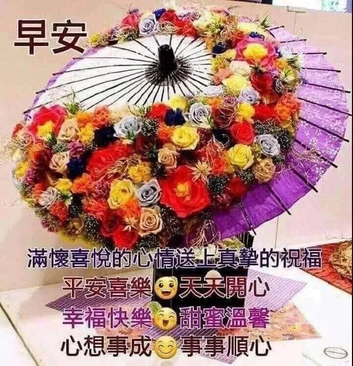 周末最走心的早上好动态美图鲜花带字,早晨好幸福暖心