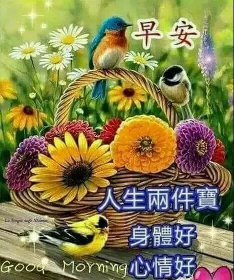 清晨暖心的早安问候祝福语动态图片,最新的早安问候语