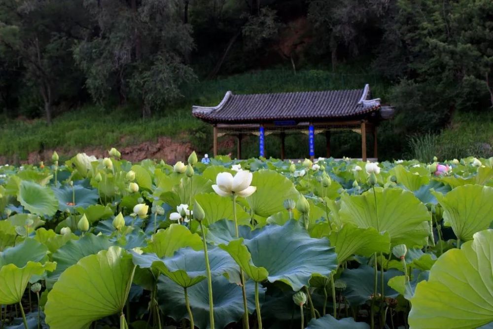 避暑山庄,承德,山庄,热河泉,烟雨楼,金山