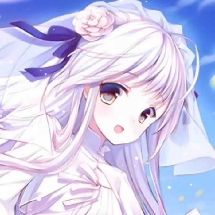 二次元动漫壁纸:养眼系列的动漫美少女