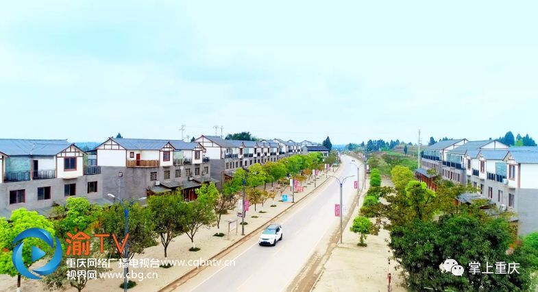 重庆最美乡村" 十大乡村系列之五:梁平区百年李子园,潼南区塘坝镇天印