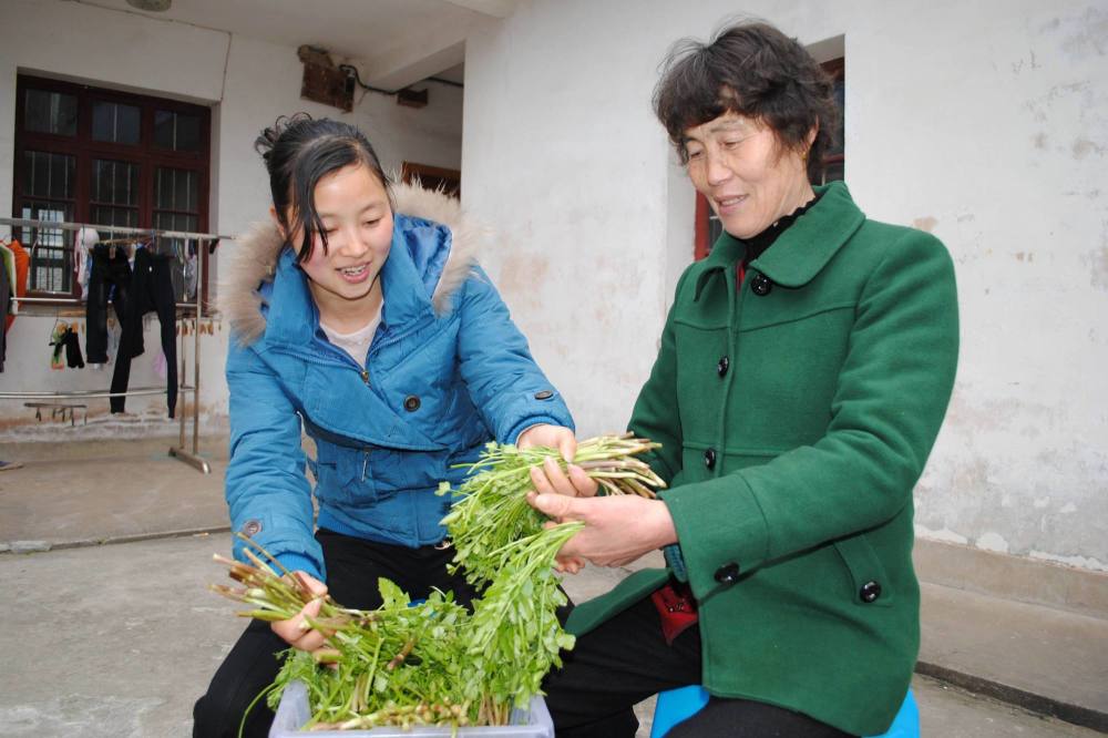 城市婆婆看不上农村媳妇,这是为什么?其实只是生活方式不同!