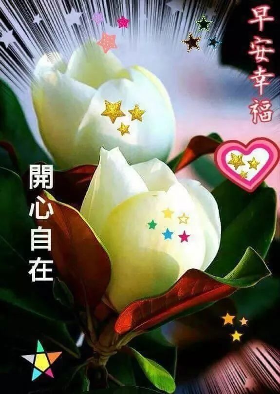 超级漂亮早上好问候语祝福图片带字,最美早安祝福语动态图片