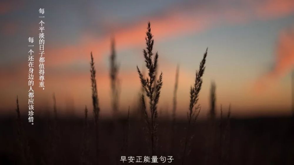 早安语录正能量配图 早安正能量说说朋友圈