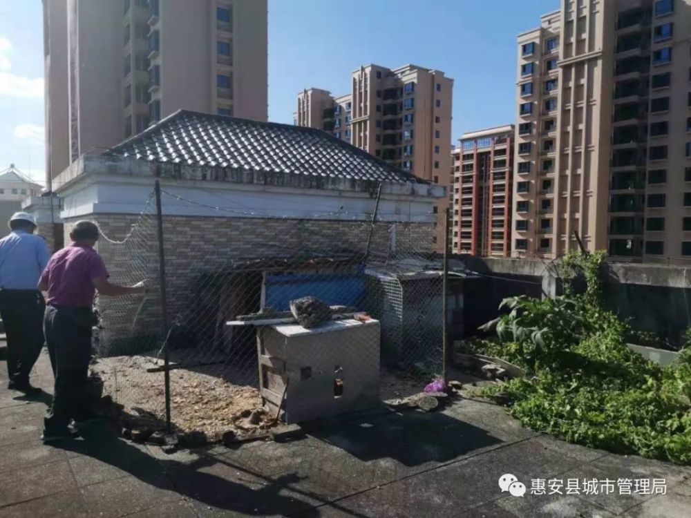 螺阳镇时代城小区内两栋居民楼的楼顶,都有人建了鸡舍,气味熏人,严重