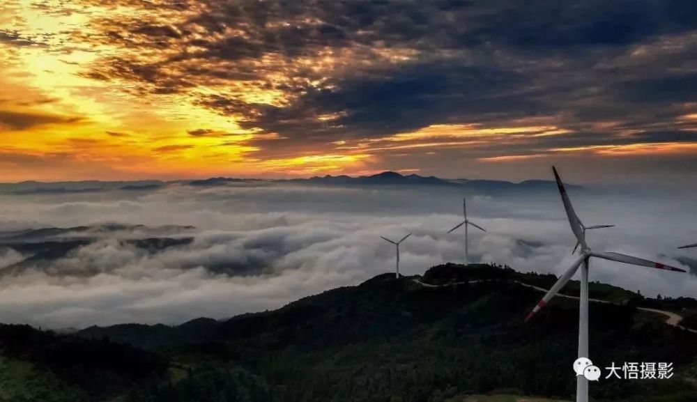 大悟县仙居顶清晨山雾美到窒息