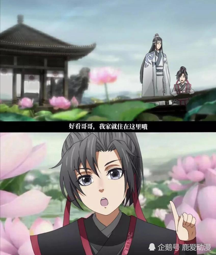 魔道祖师第二季:小时候的羡羡和蓝湛相遇,小汪叽实力"