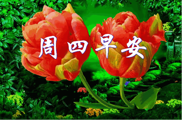 壁纸 花 桌面 640_421 gif 动态图 动图