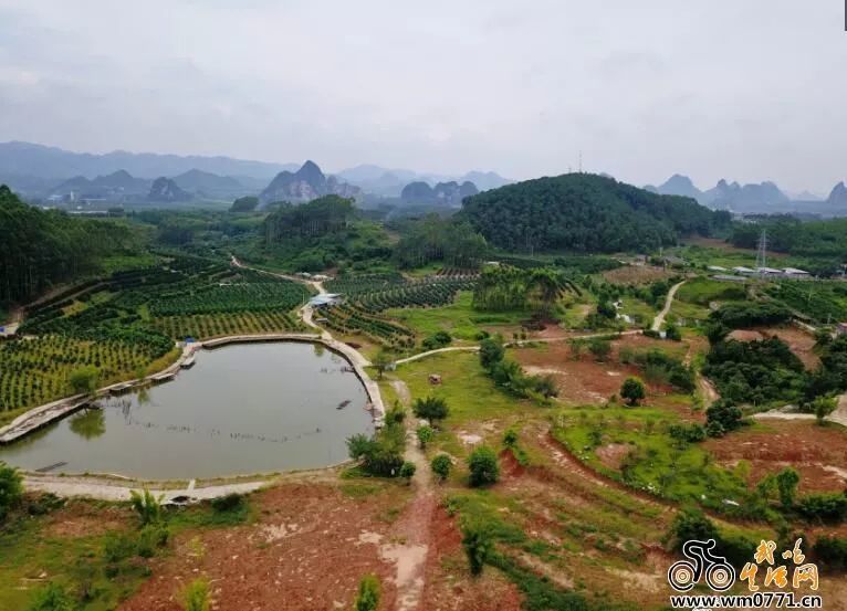 曾是南宁最大的休闲农庄!武鸣生力军农庄被拆前后实景