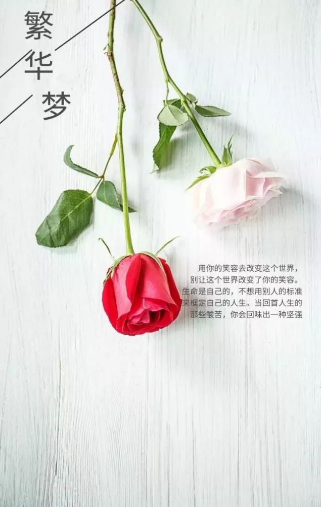 朋友圈早上激励人心的励志语句,微信早安正能量文字图片