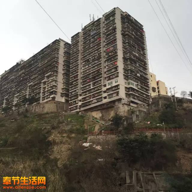 奉节人口_奉节脐橙图片(2)