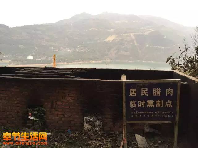 奉节人口_奉节脐橙图片(3)