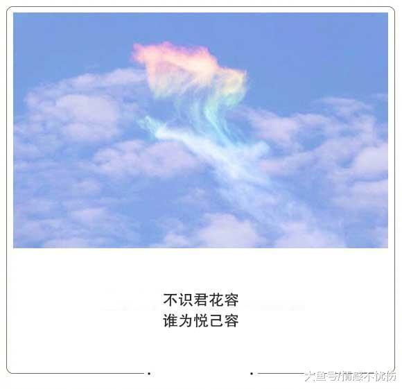 一个人很累却睡不着的说说,句句伤感走心,送给深夜孤独的你