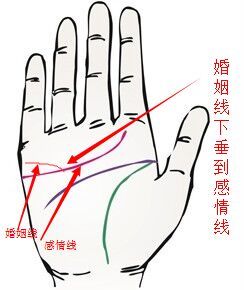 婚姻线,手纹,手相,感情线