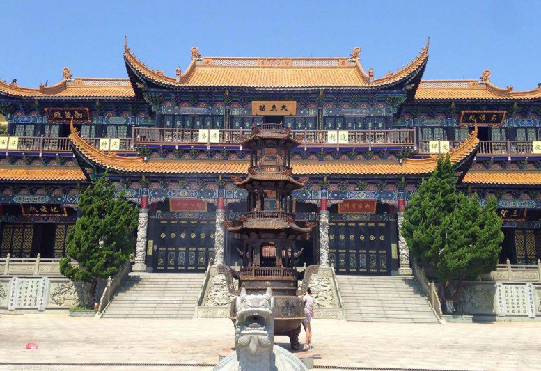 佛教圣地香火鼎盛,"放生"却被当成赚钱商机,一只乌龟卖100