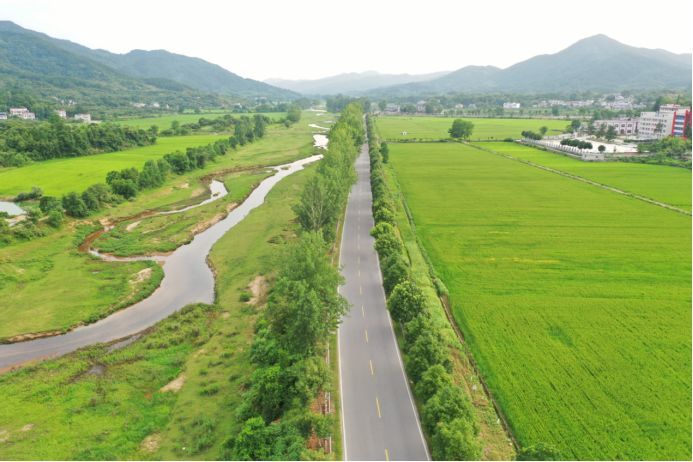 稻田,草地,远山,近水 静静躺在大自然的怀抱中 让思绪飞一会儿