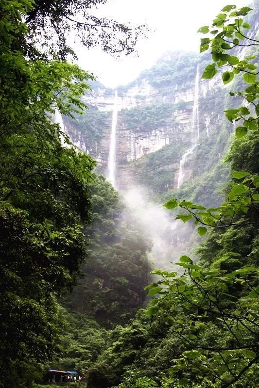 三峡竹海生态风景区