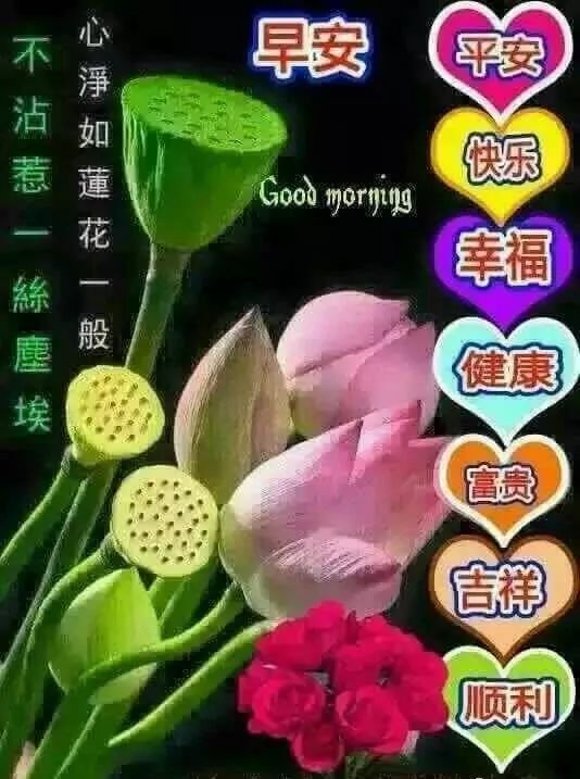 2月21日每日一句问候语