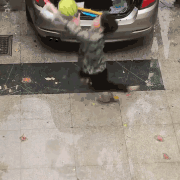搞笑趣图:硬闯是不理智的,智取才是王道