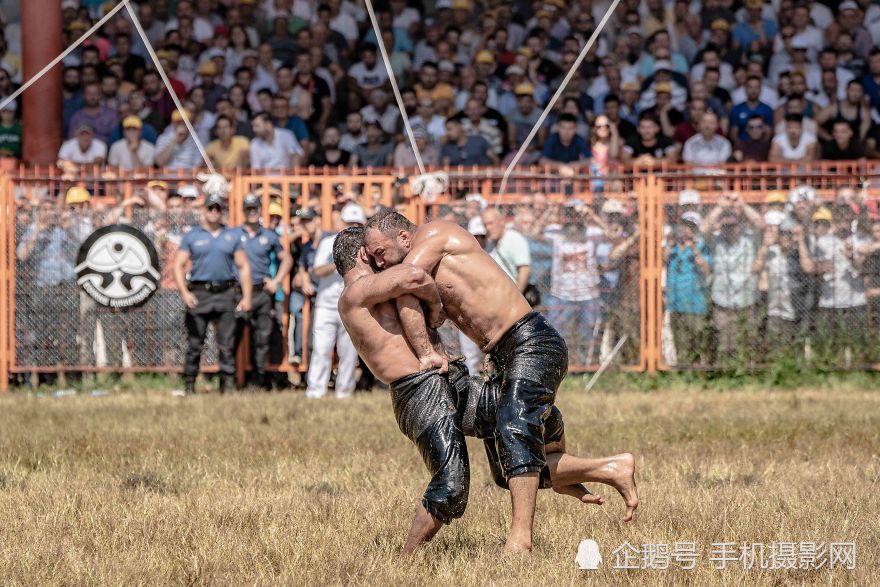 数千名男子参加摔跤比赛,参赛者全身加橄榄油油,场面激烈!