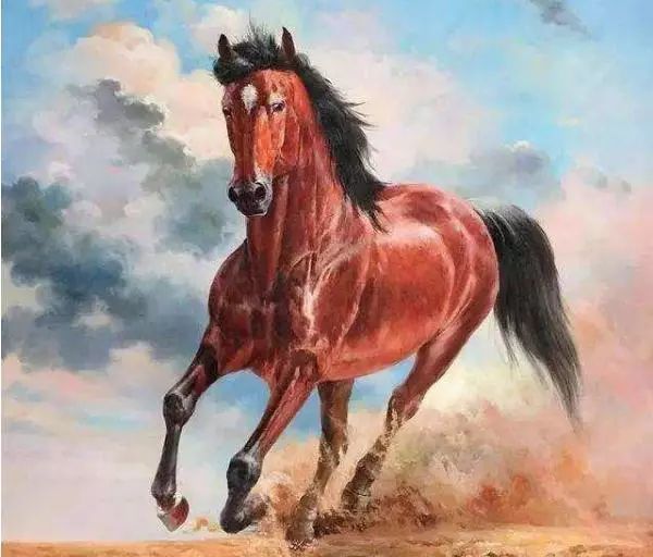 被称为"汗血宝马"的阿哈尔捷金马,是世界上最古老的马种之一.